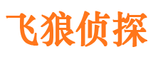 横峰市私家侦探公司